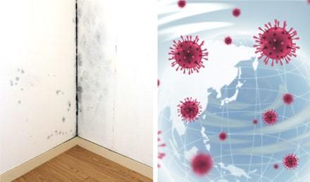 カビやウィルスのイメージ写真